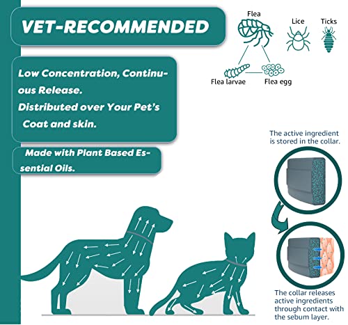 Natural Flea and Tick Collar for Small Dogs - Safe Prevention and Control of Pests on Puppies - Waterproof and Long-Lasting - Includes Free Comb and Tick Tweezer - 2-Pack, 13.8 Inches