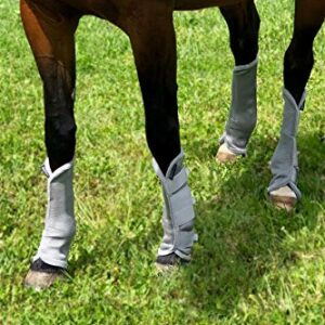 Harrison Howard Horse Fly Boots Horse Leg Guards Set of 4 -Silver (Full)