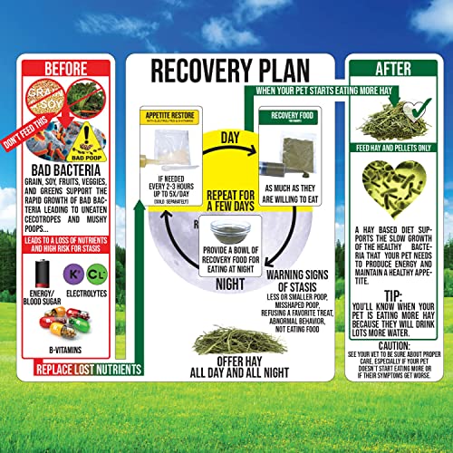 Sherwood Pet Health Rabbit Emergency Kit (Small) with Timothy Recovery Food and Appetite Restore in Stay-Fresh Packets