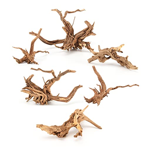 Hamiledyi 6 Pack Aquarium Driftwood Natural Spider Wood Branches Reptiles Aquarium Fish Tank Decoration Assorted(6 inch-8 inch)