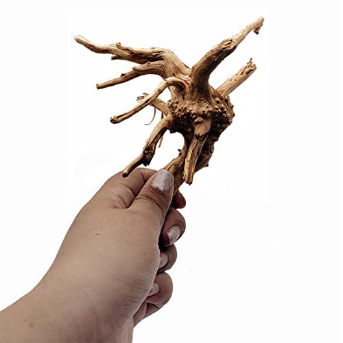 Hamiledyi 6 Pack Aquarium Driftwood Natural Spider Wood Branches Reptiles Aquarium Fish Tank Decoration Assorted(6 inch-8 inch)