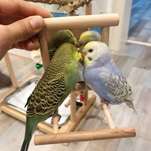 HANZE Bird Mirror with Swing Hummingbird Swing Bird Perches for Parrots Stand Wooden Swing Toy for Macaws Lovebird Cockatoo Parakeet Conure Finch Cockatiels,4 Pack