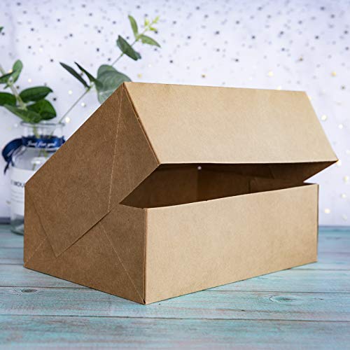 ONE MORE Cupcake Boxes with Inserts 6 Holders,9x6x3inch Large Brown Kraft Standard Bakery Boxes with Window Food Grade Cake Carrier Container for Muffins Gift Treat Box Bulk,Pack of 15