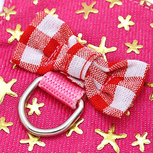 POPETPOP 2Pcs Small Pet Harness with Leash Guinea Pig Rabbit Harness Ferret Hamster Vest Leash Size M (Golden Star)