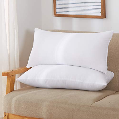 Acanva Throw Pillow Inserts, Couch Pillow Inserts with Hypoallergenic Polyester, 12" L x 20" W