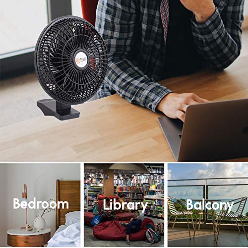 TN TONNY Convertible 6-Inch Desk & Clip on Fan Two Quiet Speeds, Household Table Clip on Fans AC Personal Fans with 6 Feet Cord, Ideal for The Home, Office, Dorm, Black