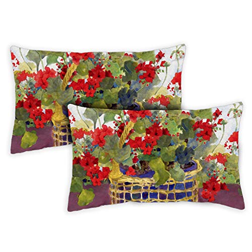 Toland Home Garden Decorative Red Geranium Basket Spring Summer Flower Floral 12 x 19 Inch Pillow Case (2-Pack)