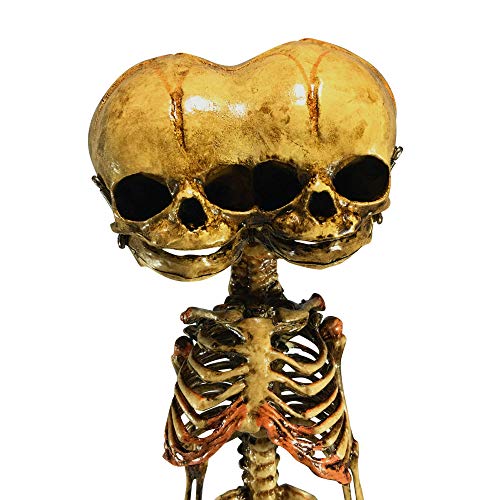 Asylum Zone Vintage Triclops 3-Eyed Baby Fetus Skeleton Fetal Specimen Oddity