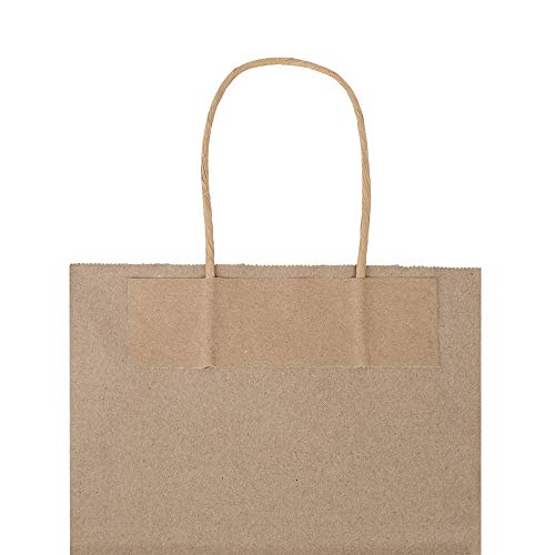 bagmad 50 Pack 8x4.75x10 inch Medium Blue Kraft Paper Bags with Handles Bulk, Gift Bags, Craft Grocery Shopping Retail Party Favors Wedding Bags Sacks (Blue, 50pcs)