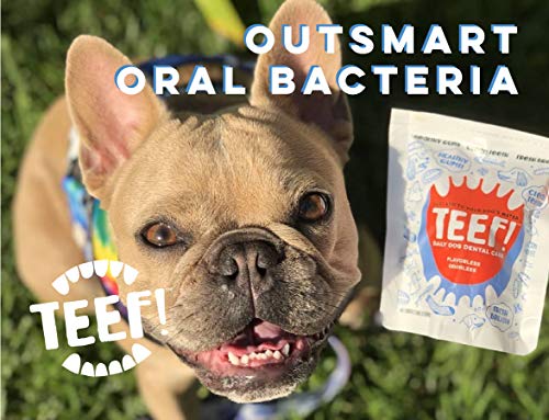 TEEF! Daily Dental Care – Natural Dog Dental Water Additive, 30 Day Supply – Award Winning Formula Fights Plaque and Tartar – No Brushing, Add to Water Bowl – Say Hello to Healthier Gums