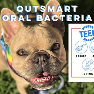 TEEF! Daily Dental Care – Natural Dog Dental Water Additive, 30 Day Supply – Award Winning Formula Fights Plaque and Tartar – No Brushing, Add to Water Bowl – Say Hello to Healthier Gums