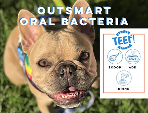 TEEF! Daily Dental Care – Natural Dog Dental Water Additive, 30 Day Supply – Award Winning Formula Fights Plaque and Tartar – No Brushing, Add to Water Bowl – Say Hello to Healthier Gums