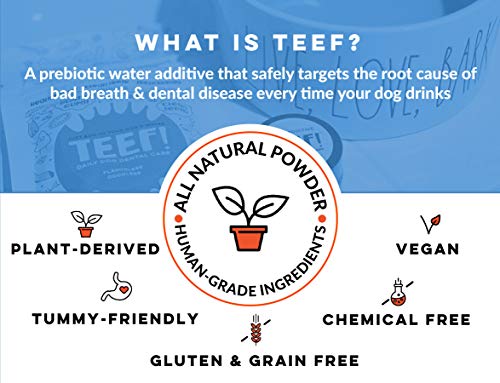 TEEF! Daily Dental Care – Natural Dog Dental Water Additive, 30 Day Supply – Award Winning Formula Fights Plaque and Tartar – No Brushing, Add to Water Bowl – Say Hello to Healthier Gums