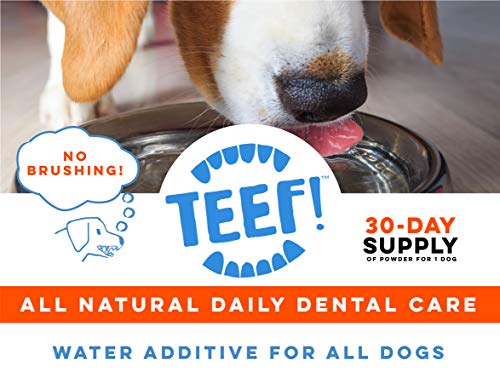 TEEF! Daily Dental Care – Natural Dog Dental Water Additive, 30 Day Supply – Award Winning Formula Fights Plaque and Tartar – No Brushing, Add to Water Bowl – Say Hello to Healthier Gums