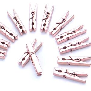 Mini Plastic Clips, 100 Pieces Rose Gold Photo Paper Pegs Clothespins Craft Clips for Hanging Pictures Clothes Paper Arts Crafts, Length : 3.5cm