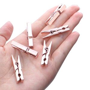 Mini Plastic Clips, 100 Pieces Rose Gold Photo Paper Pegs Clothespins Craft Clips for Hanging Pictures Clothes Paper Arts Crafts, Length : 3.5cm