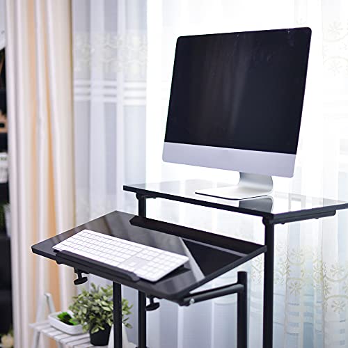 DlandHome Adjustable Rolling Desk Standing Desk, Sit-Stand Desk Cart Mobile Computer Desk Stand Up Desk Office Desk Riser Standing Table Workstation Mobile Desk, Black