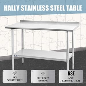 Hally Stainless Steel Table for Prep & Work 24 x 48 Inches, NSF Commercial Heavy Duty Table with Undershelf and Backsplash for Restaurant, Home and Hotel