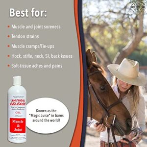 Four Oaks Farm Ventures, Natural Release Muscle Gel Treatment - Horse Liniment for Sore Muscles, Joint Pain, Tendon & Inflammation Relief - Easy to Use, Fast Acting, Alcohol & Menthol Free (16 oz)