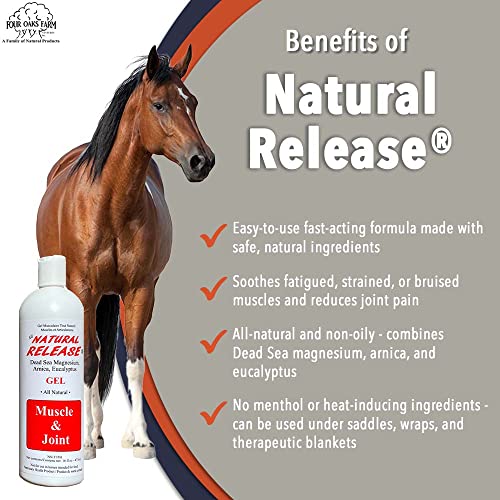 Four Oaks Farm Ventures, Natural Release Muscle Gel Treatment - Horse Liniment for Sore Muscles, Joint Pain, Tendon & Inflammation Relief - Easy to Use, Fast Acting, Alcohol & Menthol Free (16 oz)