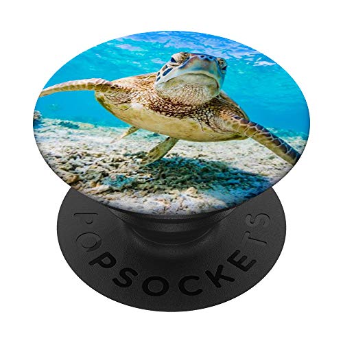 Sea Turtle Under Water PopSockets PopGrip: Swappable Grip for Phones & Tablets