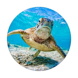 Sea Turtle Under Water PopSockets PopGrip: Swappable Grip for Phones & Tablets