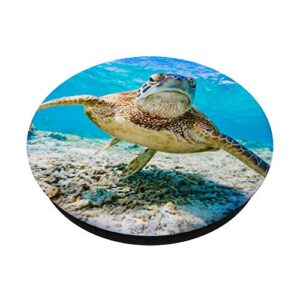 Sea Turtle Under Water PopSockets PopGrip: Swappable Grip for Phones & Tablets