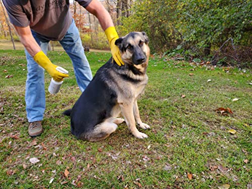 $averPak InsectGuard Permethrin Mosquitoes, Ticks and Flies Repellent & Insecticide Spray for Pet Dog Horse Blanket Bed Kennal Stabels & More - Gallon (128oz)