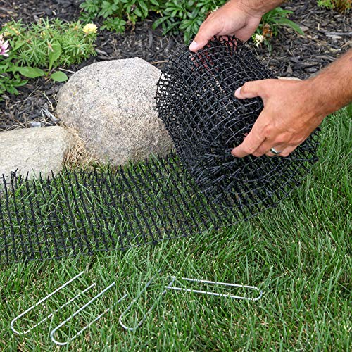 Tapix Cat Scat Mat with Spikes Digging Stopper (8 ft.) Anti-cat Network Cat Strips, Cat Deterrent Mat for Indoor and Outdoor with 6 Staples