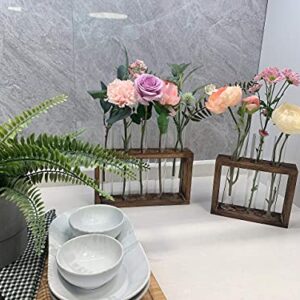 Ivolador Wall Mounted Hanging Plants Terrarium Test Tube Flower Bud Tabletop Glass Wooden Stand with 5 Test Tube Perfect for Propagating Hydroponic Plants Home Garden Wedding Decoration