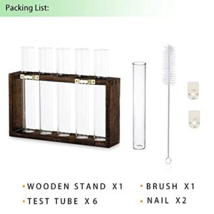 Ivolador Wall Mounted Hanging Plants Terrarium Test Tube Flower Bud Tabletop Glass Wooden Stand with 5 Test Tube Perfect for Propagating Hydroponic Plants Home Garden Wedding Decoration