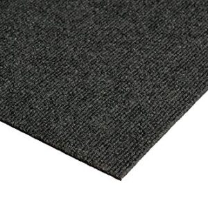 Indoor - Outdoor Area Rugs and Runners Constructed with Superior PET Fiber Made from 100% Purified Recycled Bottles. (9' x 12', Black Ice)