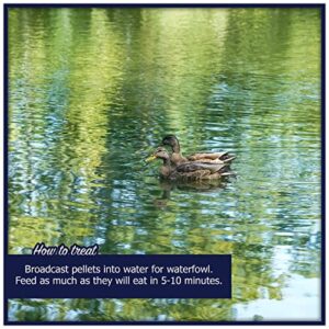 Natural Waterscapes Waterfowl Feed | Floating Pellets for Duck, Swan, Goose | 5 lb Resealable Bag | Use for Wild Duck, Pet Duck