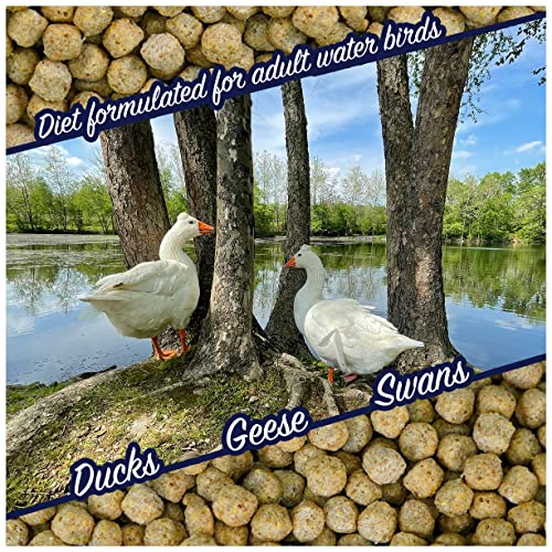 Natural Waterscapes Waterfowl Feed | Floating Pellets for Duck, Swan, Goose | 5 lb Resealable Bag | Use for Wild Duck, Pet Duck