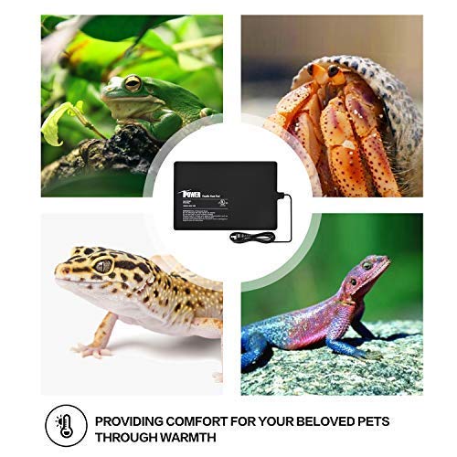 iPower 8 by 12-Inch Reptile Heat Mat Under Tank Heater Terrarium Heating Pad Ideal for Spider Snake Tarantula Hermit Crab Turtle, Black