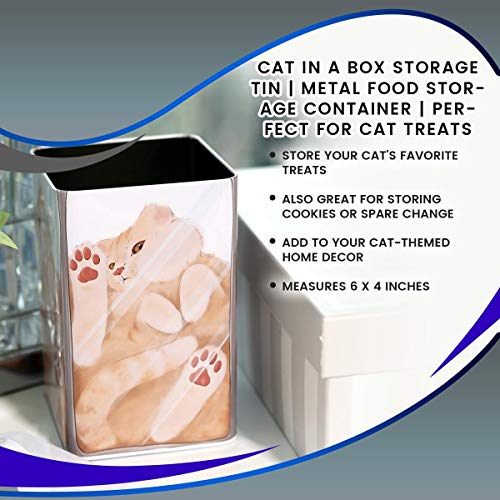 Cat In A Box Storage Tin | Metal Food Storage Container | Perfect For Cat Treats