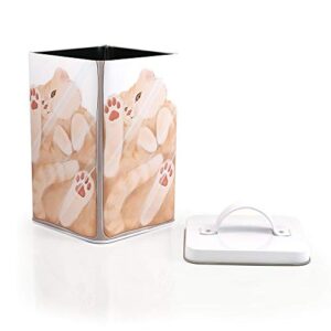 Cat In A Box Storage Tin | Metal Food Storage Container | Perfect For Cat Treats