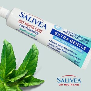 SALIVEA Dry Mouth Toothpaste - Soothing Mint Toothpaste with Natural Salivary Enzymes - Gentle Toothpaste to Aid Dry Mouth Care - Natural, Paraben Free Dry Mouth Toothpaste - Mint Flavor (2 Pack)