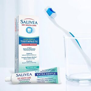 SALIVEA Dry Mouth Toothpaste - Soothing Mint Toothpaste with Natural Salivary Enzymes - Gentle Toothpaste to Aid Dry Mouth Care - Natural, Paraben Free Dry Mouth Toothpaste - Mint Flavor (2 Pack)