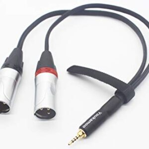 Youkamoo 2.5mm Trrs to Dual XLR Male Cable Balanced Audio Headphone Adapter Cable 1 FT 0.3M