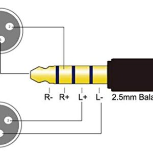 Youkamoo 2.5mm Trrs to Dual XLR Male Cable Balanced Audio Headphone Adapter Cable 1 FT 0.3M