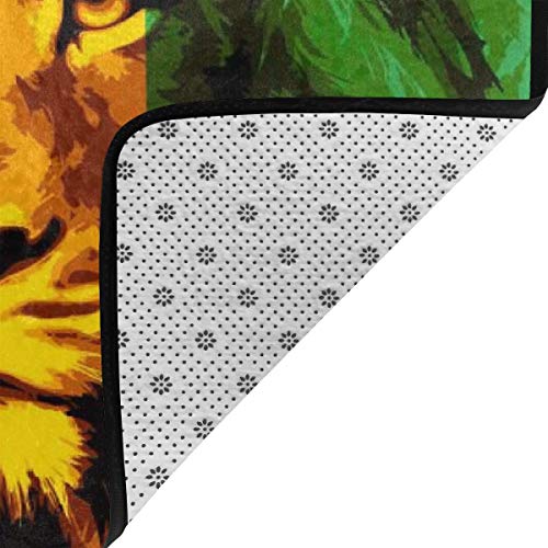 NiYoung Reggae Rasta Flag Lion King Area Rug, Bedroom Living Room Kitchen Rug, Doormat Floor Mat Standing Mat, Children Play Rug Carpet Bathroom Rug Mat, Throw Rugs Carpet Yoga Mat