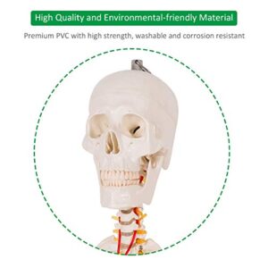 HAPPYGRILL 5.9FT Human Anatomical Anatomy Skeleton Life Size Full Body Skeleton with Rolling Stand for Teaching