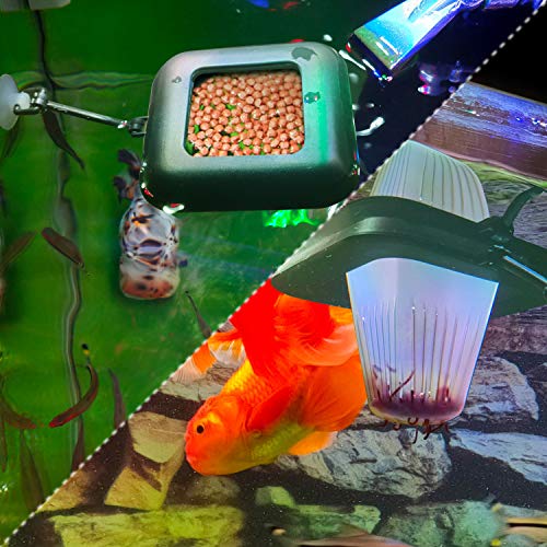 Fischuel Aquarium Feeding Ring Floating Rings Food Feeder Feeding Trough Square with Suction Cup for Fish Feeder with Blood Worms Meal Worms