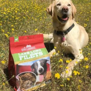 Superior Farms Pet Provisions Lamb Lung Dog Treats | All Natural Dog Snacks from Our Farms | Real Protein Dog Chews | 100% Lamb. (Lung Fillets (8 oz.))