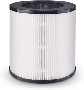 azeus air purifier for large rooms (c8 filter)