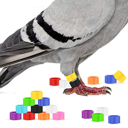 POPETPOP Parrot Toys Parrot Toys 100PCS Pigeon Foot Ring Plastic Colorful Bird Leg Rings Identification Rings for Birds Pigeons Parrots Poultry 8mm (Random Color) Bird Toy Bird Toy