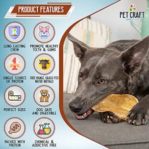 Pet Craft Supply Pure Natural Grass Fed Grain Free Water Buffalo Variety Pack of 11 Durable Tough Dog Chew for Aggressive Chewers and Puppies