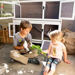 Be Mindful | Bunny Hutch for Rabbits and Other Small Animals