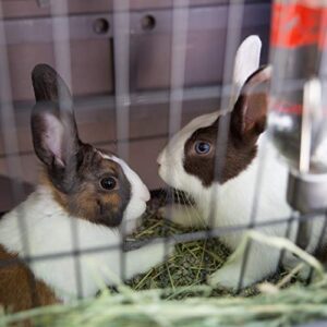 Be Mindful | Bunny Hutch for Rabbits and Other Small Animals